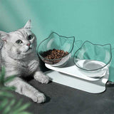 Orthopedic Anti-Vomit Cat Feeder