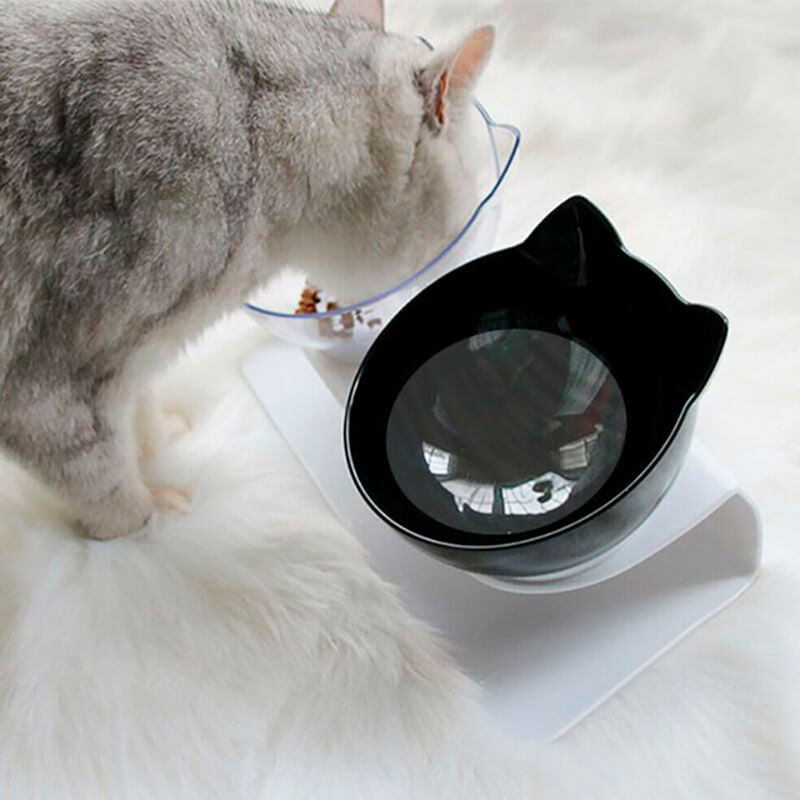 Orthopedic Anti-Vomit Cat Feeder