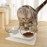 Orthopedic Anti-Vomit Cat Feeder