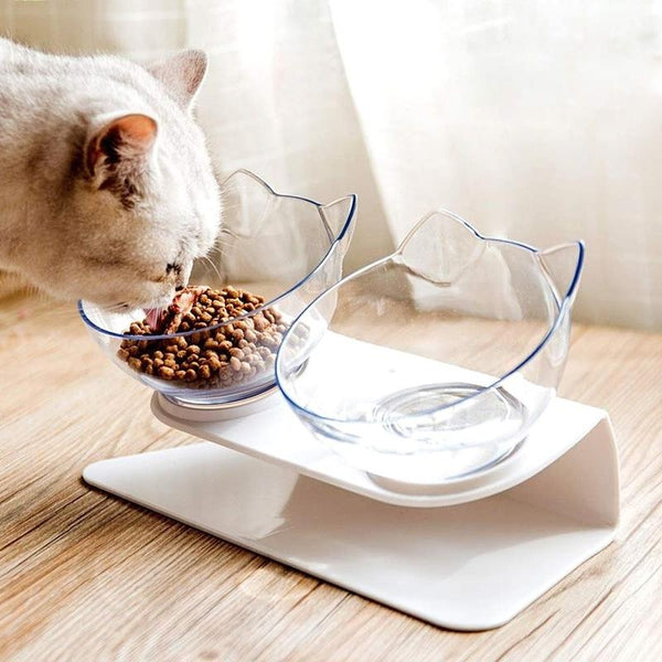 Orthopedic Anti-Vomit Cat Feeder